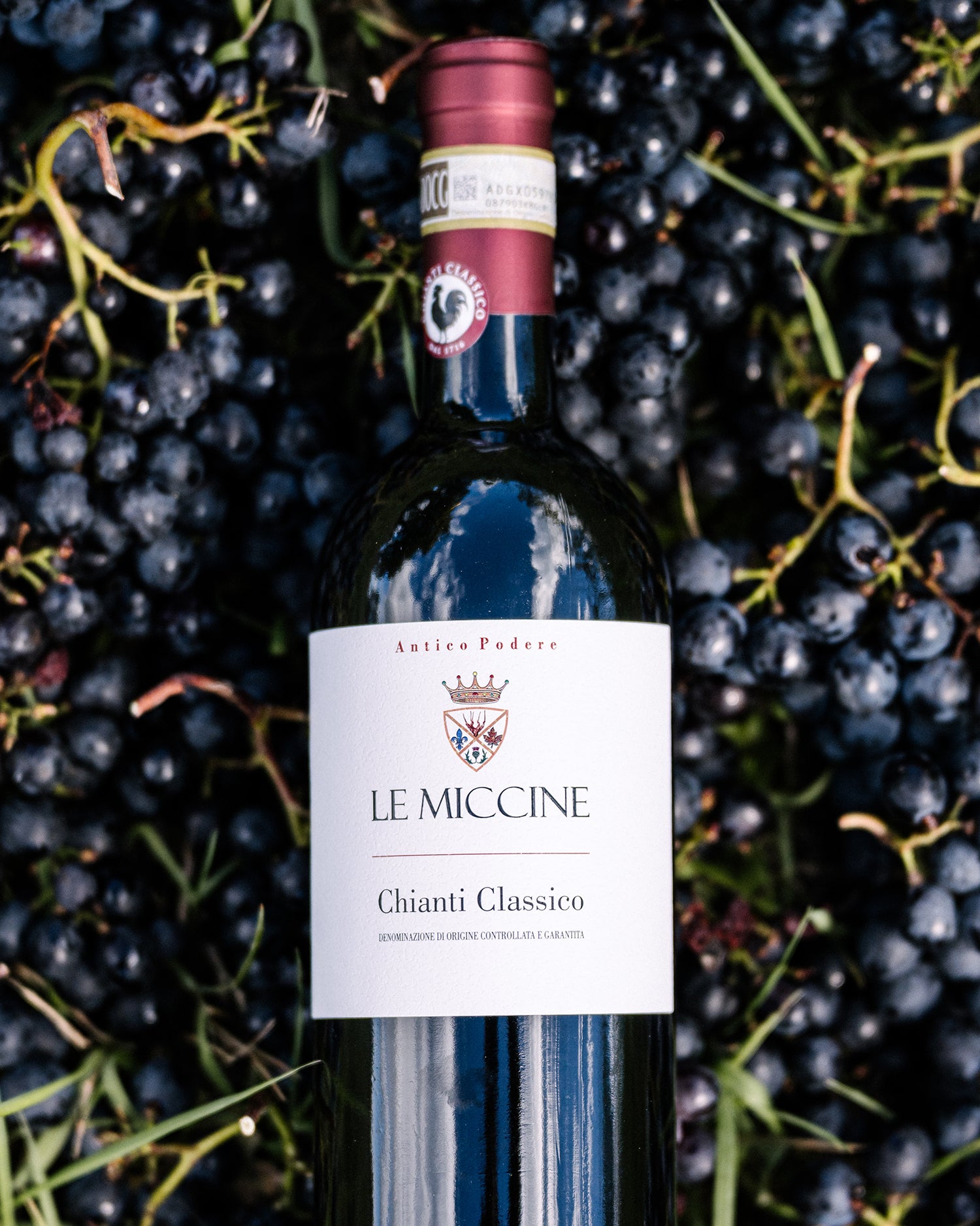 Chianti Classico 2022