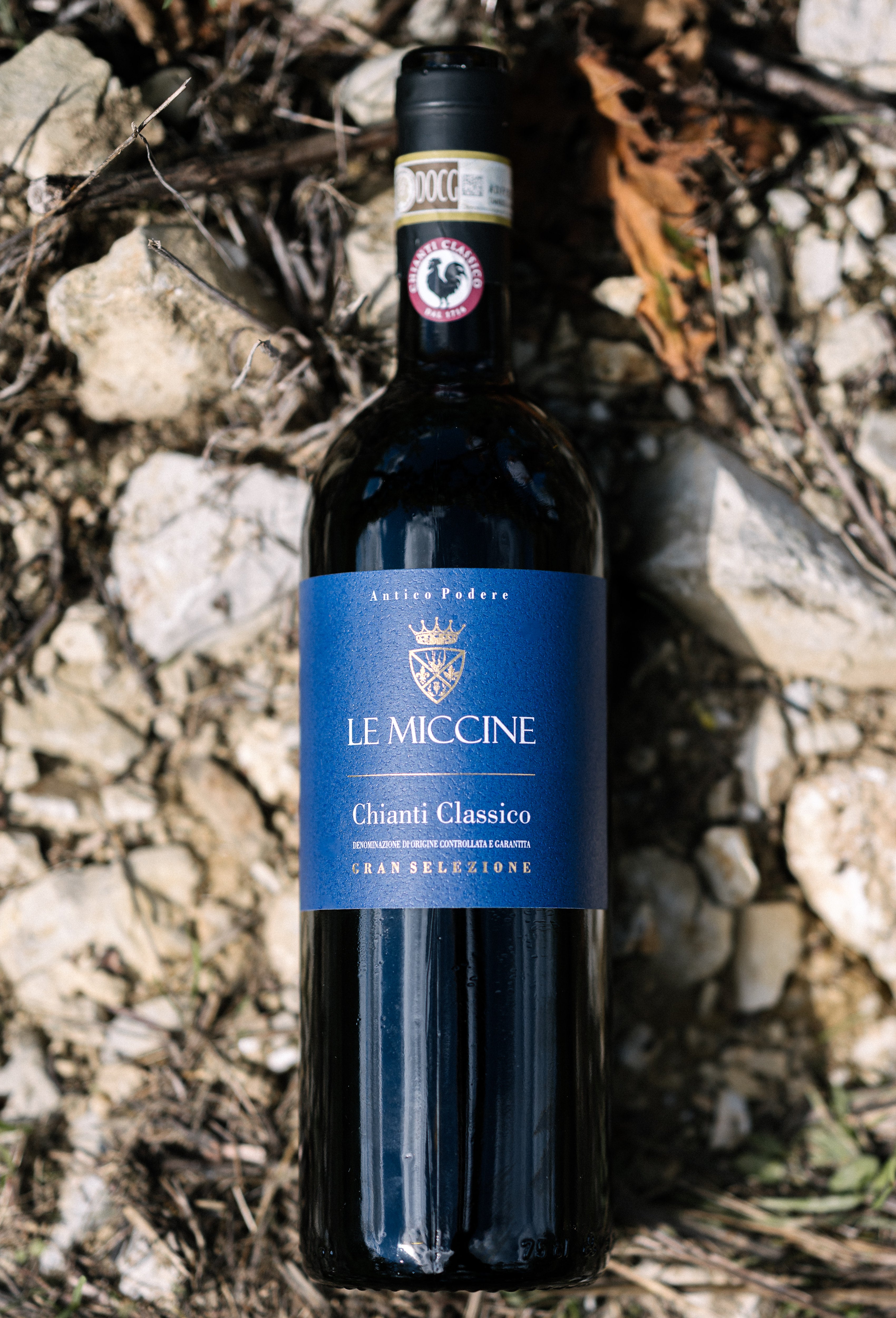 Chianti Classico Gran Selezione 2020