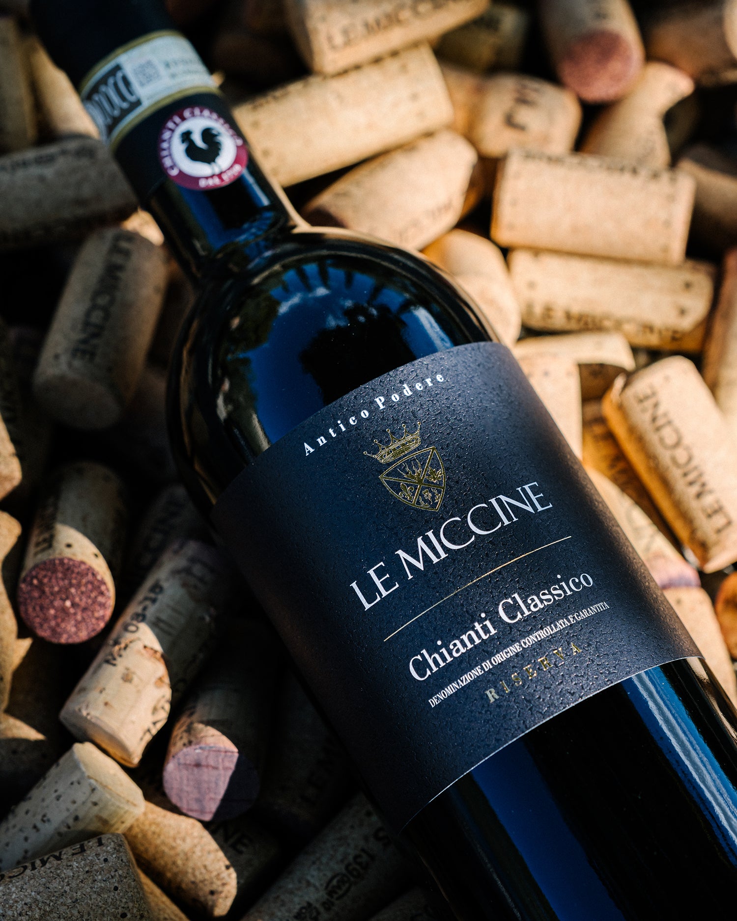 Chianti Classico Riserva 2021