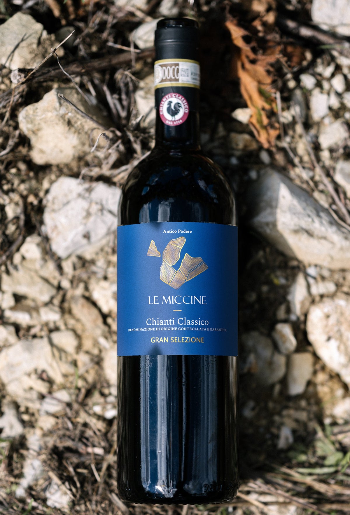 Le Miccine Chianti Classico Gran Selezione 2020 on albarese stones