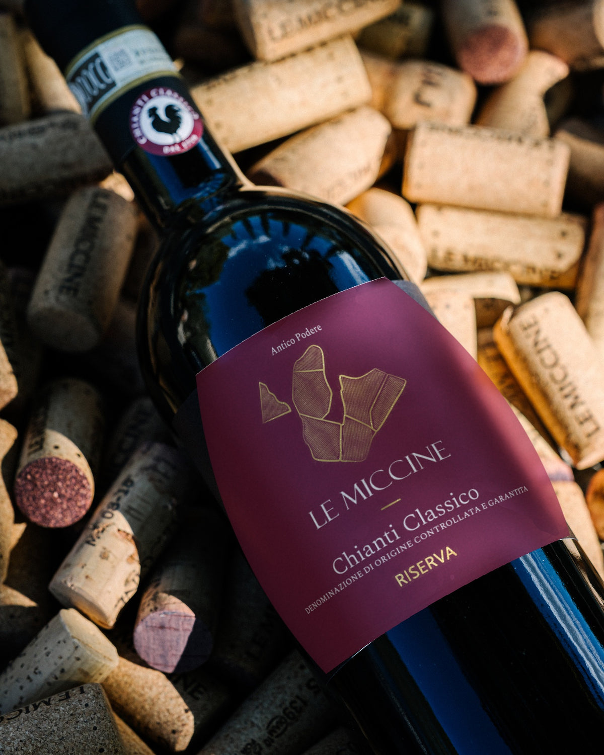 Le Miccine Chianti Classico Riserva 2021 among Le Miccine corks